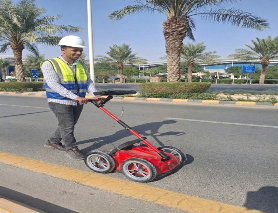Geophysical Survey